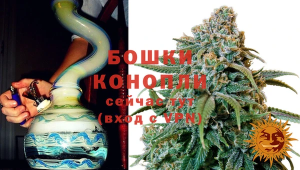 ешки Сосновый Бор