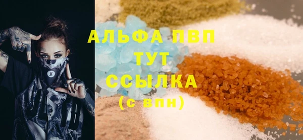 прущие грибы Сосновоборск