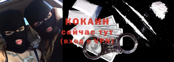 прущие грибы Сосновоборск