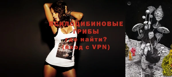 прущие грибы Сосновоборск