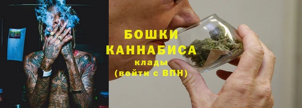 прущие грибы Сосновоборск