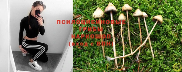 ешки Сосновый Бор
