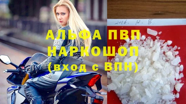 прущие грибы Сосновоборск