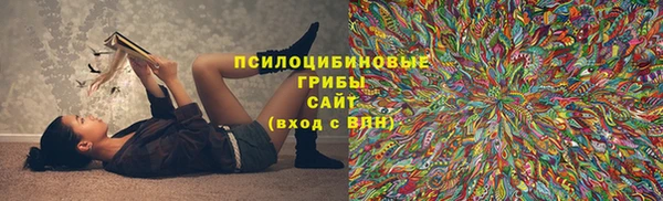 ешки Сосновый Бор