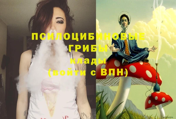 ешки Сосновый Бор