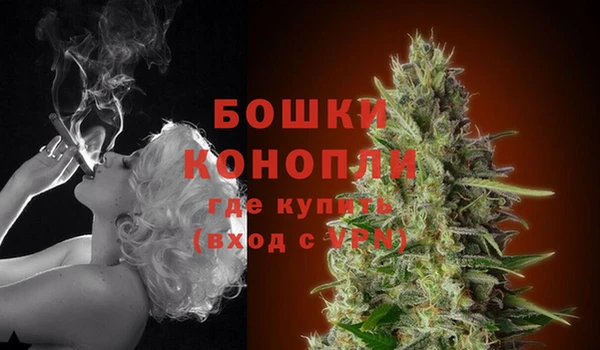 прущие грибы Сосновоборск