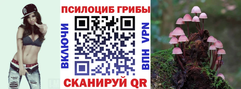 закладки Тутаев Галлюциногенные грибы мицелий